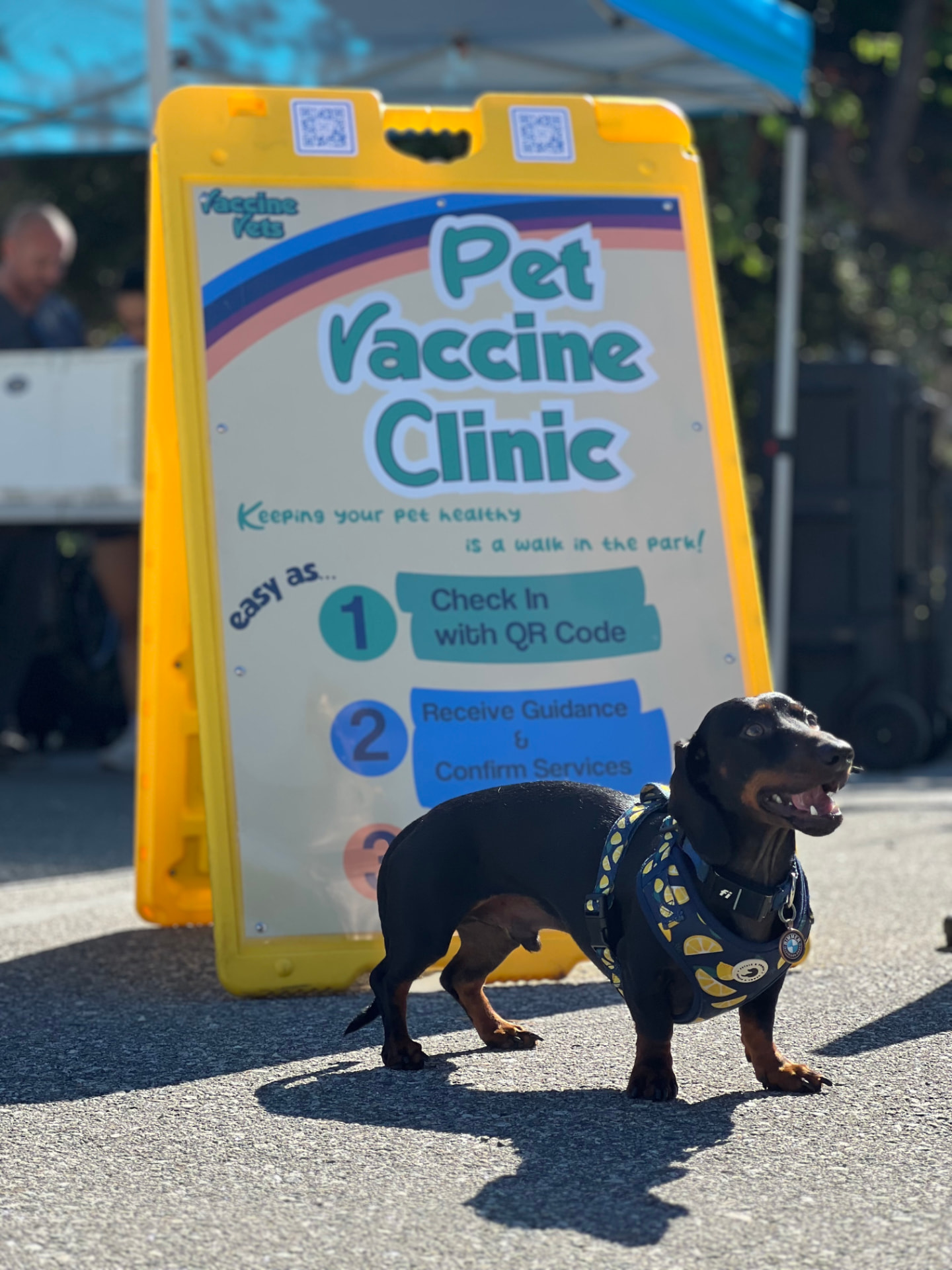 A dog beside the clinic check-in sign
