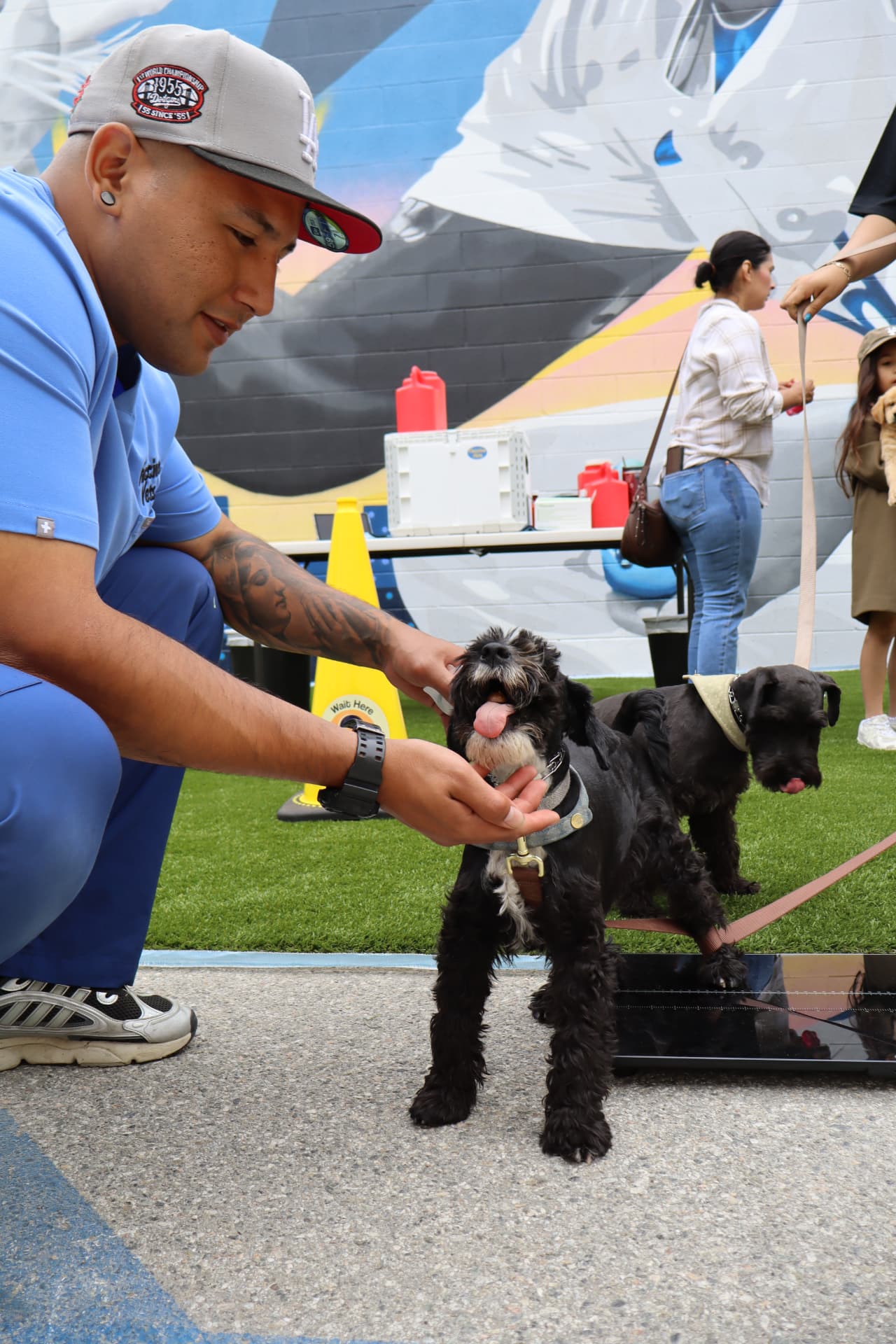 Pets at a Vaccine Vets community clinic
